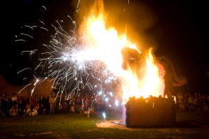 32113_1491075794869_1135930_n